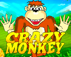 Crazy Monkey