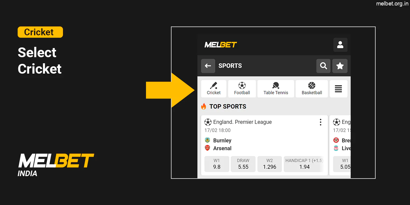 Select Cricket Category - Melbet India