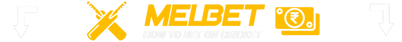 Step-bt-step instruction how to make bets on Cricket at Melbet